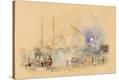 Stretched Canvas Print