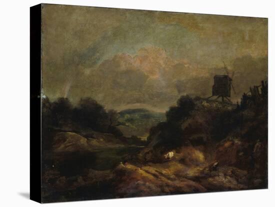 Stretched Canvas Print, , large