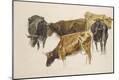 Giclee Print