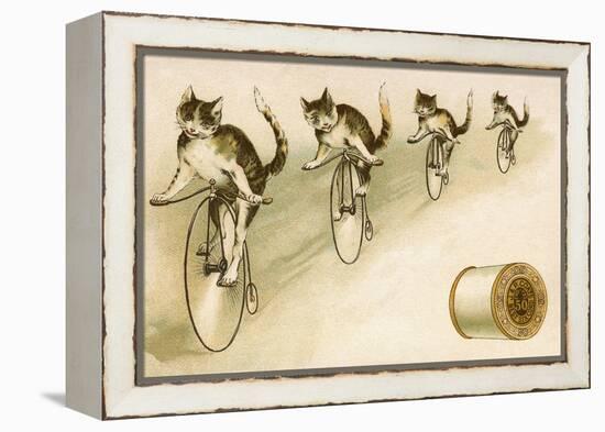 J&P Coats Trade Card with Cats Bicycling-null-Framed Premier Image Canvas