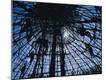 Premium Photographic Print