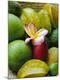 Photographic Print