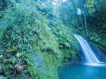 Waterfall, Guadeloupe, French Antilles, West Indies, Caribbean-J P De Manne-Photographic Print