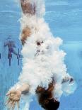 AT&T USA Diving Grand Prix, Fort Lauderdale, Florida-J. Pat Carter-Framed Premier Image Canvas