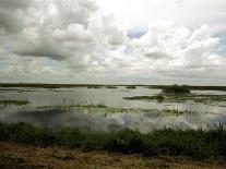Everglades Restoration-J. Pat Carter-Framed Premier Image Canvas