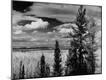 Photographic Print