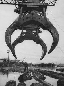 Cranes Scooping Logs from River at Crown Zellerbach Lumber Mill by J^ R^ Eyerman