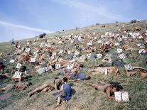 Extras Playing Dead People Hold Numbered Cards Between Takes During Filming of "Spartacus"-J^ R^ Eyerman-Photographic Print