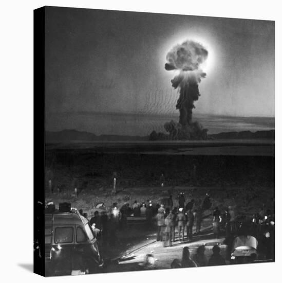 Stretched Canvas Print, , large