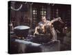 Stretched Canvas Print
