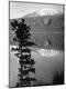 Photographic Print
