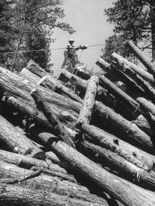 Man Lifting Logs Out of a Lumber Pile by J^ R^ Eyerman