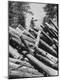 Photographic Print