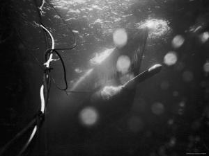 Underwater View of a Torpedo Being Launched from a Submarine by J^ R^ Eyerman