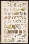 Microscopic Structure of the Texture of Various Parts of the Body-J.s. Cuthbert-Art Print