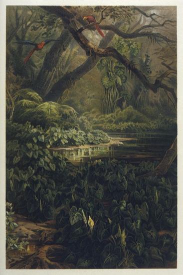 Photographic Print, , large