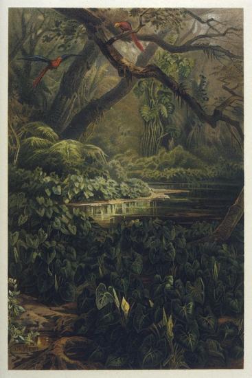 Photographic Print, , large