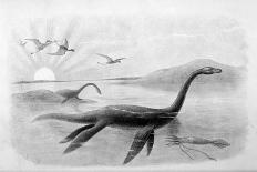 Plesiosaurus Dolichodeirus-J. Smit-Art Print