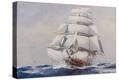 Stretched Canvas Print