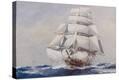 Stretched Canvas Print