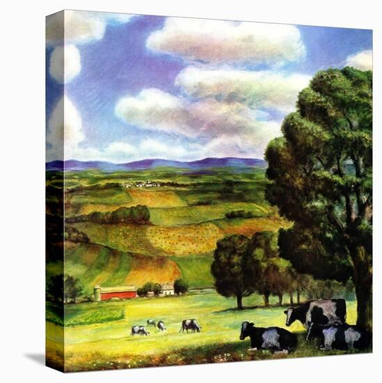 Stretched Canvas Print, , large