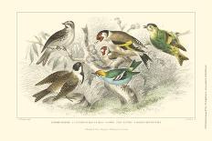 Roosters & Hens-J. Stewart-Art Print