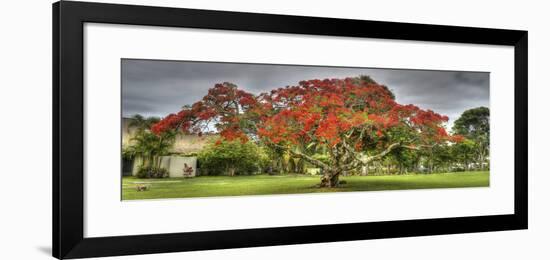 J110-Robert Kaler-Framed Photographic Print