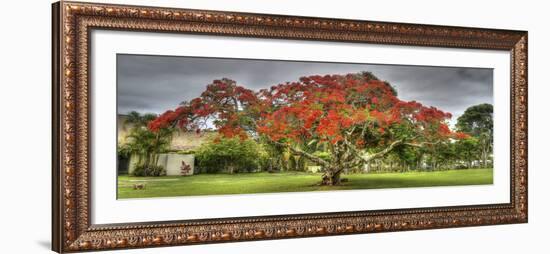 J110-Robert Kaler-Framed Photographic Print