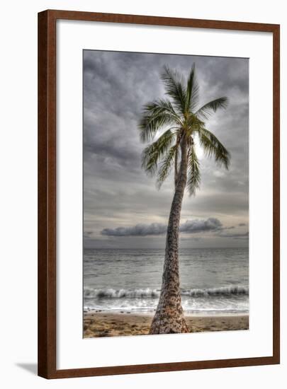 J141-Robert Kaler-Framed Photographic Print