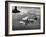 J2F Utility Plane Flying over Pacific Ocean-Peter Stackpole-Framed Photographic Print