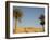 Jabal El Mawta, Oasis of Siwa, Egypt, North Africa, Africa-Groenendijk Peter-Framed Photographic Print