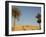 Jabal El Mawta, Oasis of Siwa, Egypt, North Africa, Africa-Groenendijk Peter-Framed Photographic Print