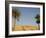 Jabal El Mawta, Oasis of Siwa, Egypt, North Africa, Africa-Groenendijk Peter-Framed Photographic Print