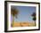 Jabal El Mawta, Oasis of Siwa, Egypt, North Africa, Africa-Groenendijk Peter-Framed Photographic Print