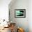 Jabberpulse-Fabio Panichi-Framed Photographic Print displayed on a wall