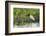 Jabiru (Jabiru mycteria), Pantanal, Mato Grosso, Brazil, South America-Sergio Pitamitz-Framed Photographic Print