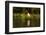 Jabiru Stork-Joe McDonald-Framed Photographic Print