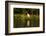 Jabiru Stork-Joe McDonald-Framed Photographic Print