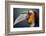 Jabrix-Fahmi Bhs-Framed Photographic Print