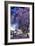 Jacaranda Tree in Blossom-Alan J. S. Weaving-Framed Photographic Print