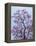 Jacaranda Trees Blooming in City Park, Buenos Aires, Argentina-Michele Molinari-Framed Premier Image Canvas