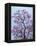 Jacaranda Trees Blooming in City Park, Buenos Aires, Argentina-Michele Molinari-Framed Premier Image Canvas