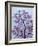 Jacaranda Trees Blooming in City Park, Buenos Aires, Argentina-Michele Molinari-Framed Photographic Print