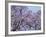 Jacarandas Trees Bloom in City Parks, Parque 3 de Febrero, Palermo, Buenos Aires, Argentina-Michele Molinari-Framed Photographic Print