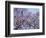 Jacarandas Trees Bloom in City Parks, Parque 3 de Febrero, Palermo, Buenos Aires, Argentina-Michele Molinari-Framed Photographic Print