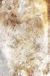 Gold Abstract II-Jace Grey-Framed Art Print