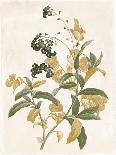 Floral Takeover Gold-Jace Grey-Art Print