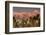 Jacinto and Santa Rosa Mountain Ranges, Palm Springs, California, USA-Richard Duval-Framed Photographic Print