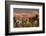 Jacinto and Santa Rosa Mountain Ranges, Palm Springs, California, USA-Richard Duval-Framed Photographic Print