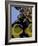 Jack 10-Scott J. Davis-Framed Giclee Print